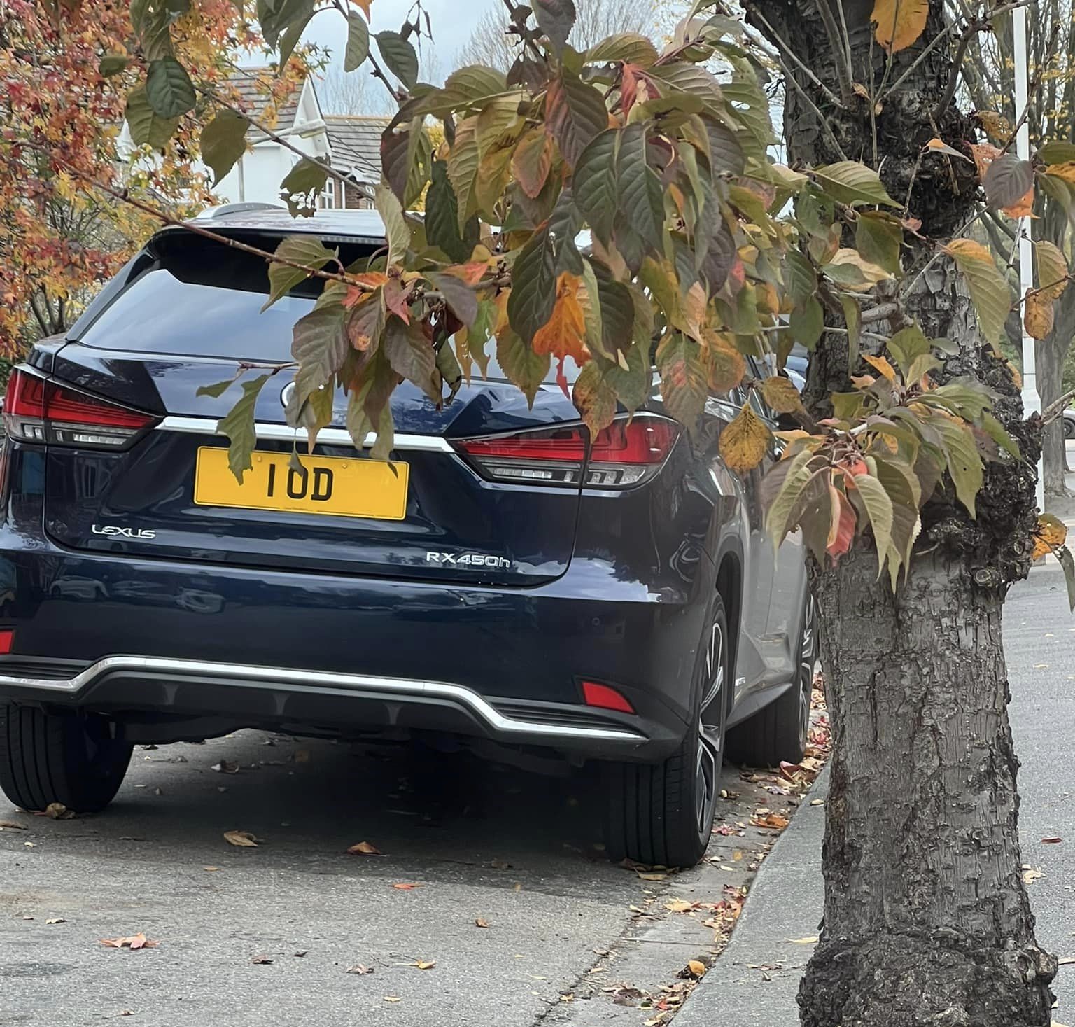 Number Plate 1 OD