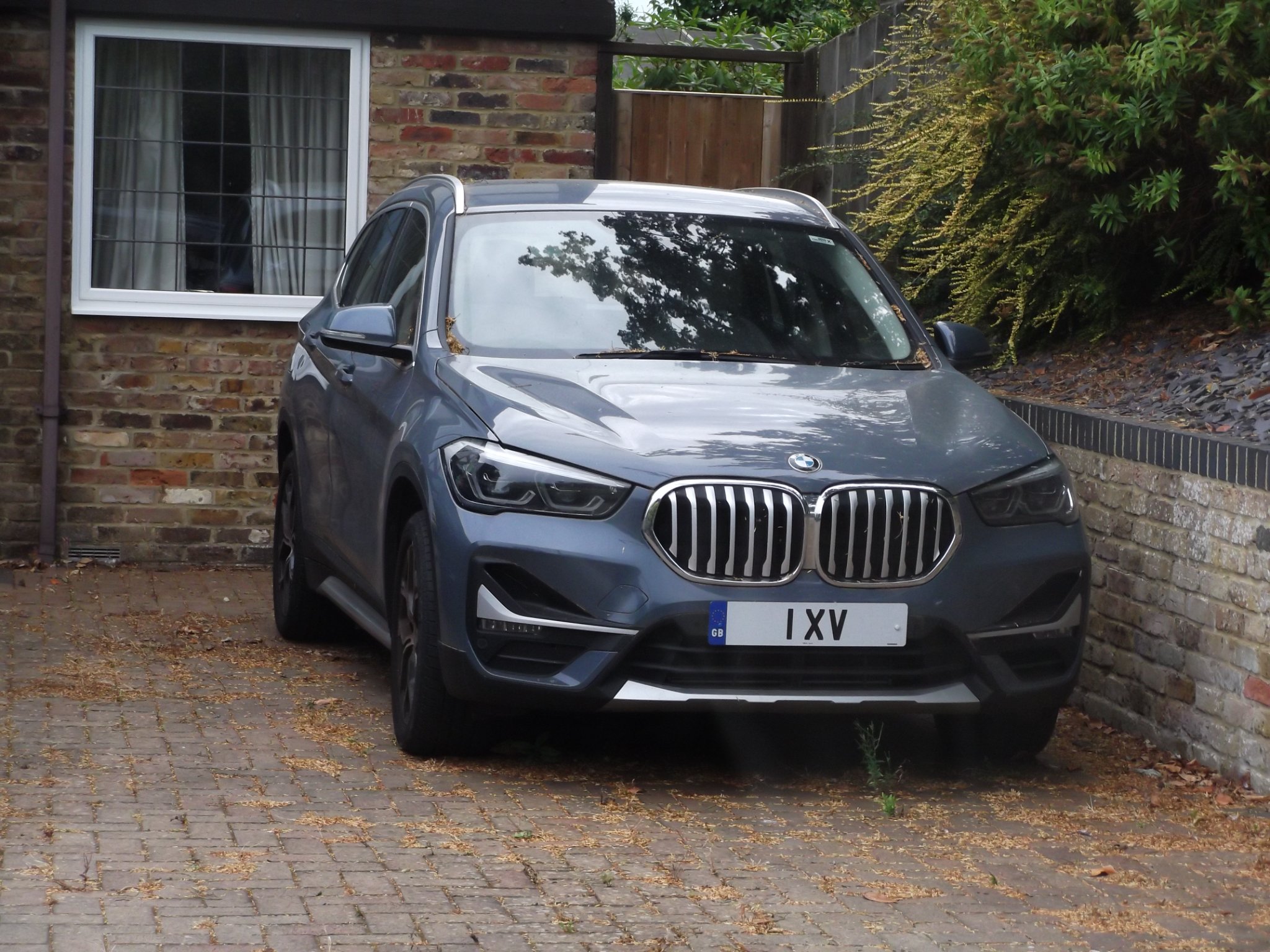 Number Plate 1 XV