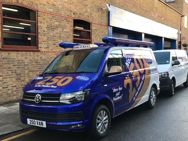 Pimlico Plumbers Number Plate 250 VAN