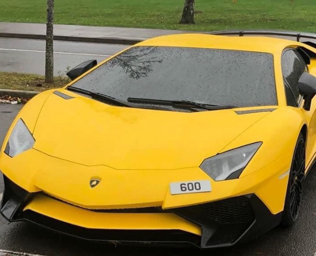 Number Plate All Number Look 6 OO