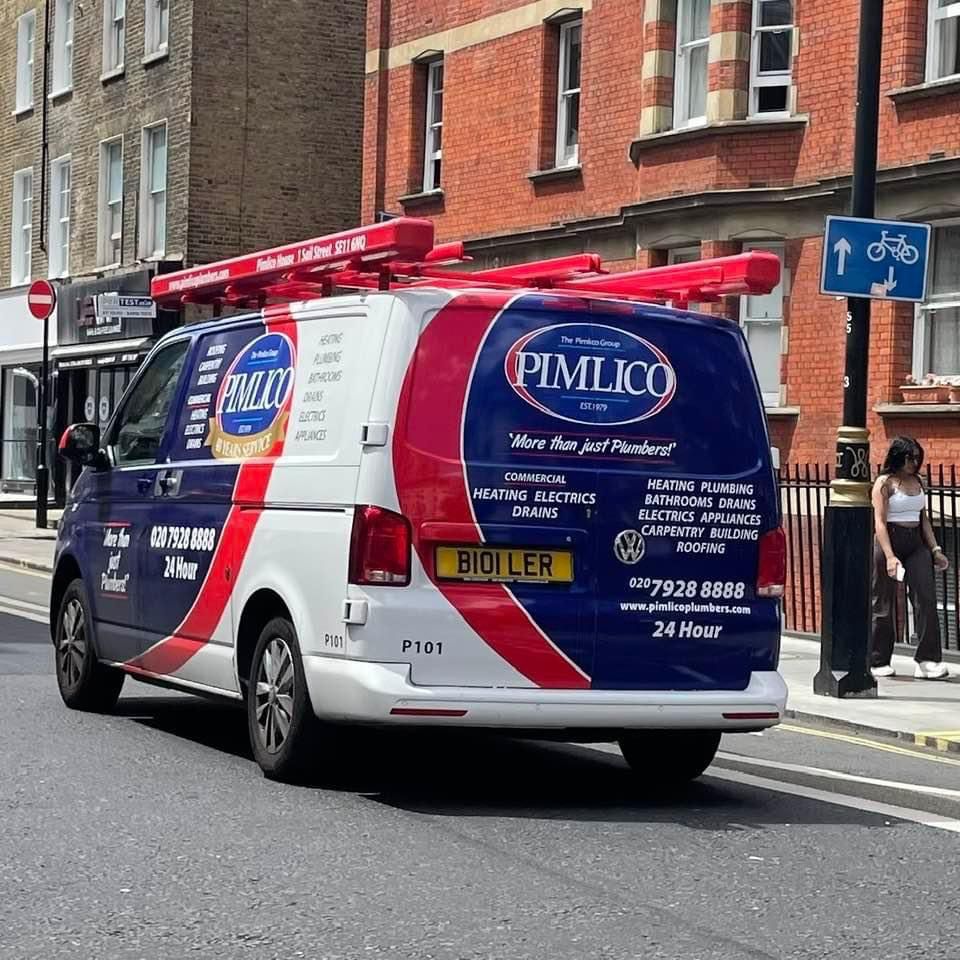 Pimlico Plumbers Number Plate B101 LER