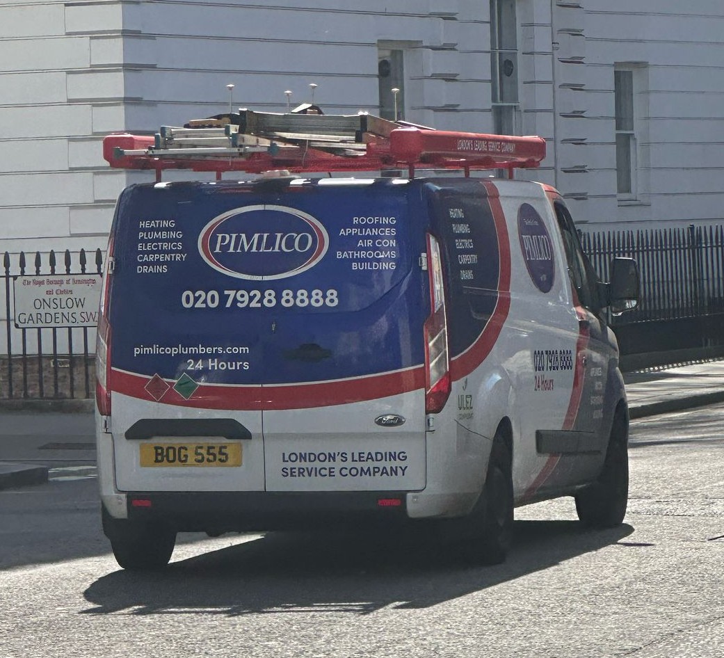Pimlico Plumbers Number Plate BOG 555