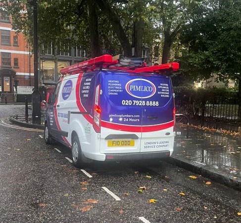 Pimlico Plumbers Number Plate F10 ODD