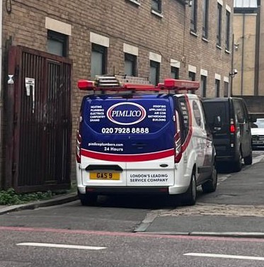 Pimlico Plumbers Number Plate GAS 9