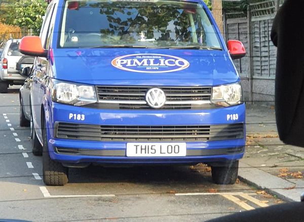 Pimlico Plumbers Number Plate TH15 LOO