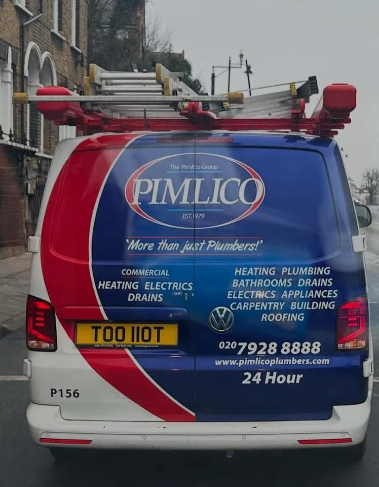 Pimlico Plumbers Number Plate TOO 110T