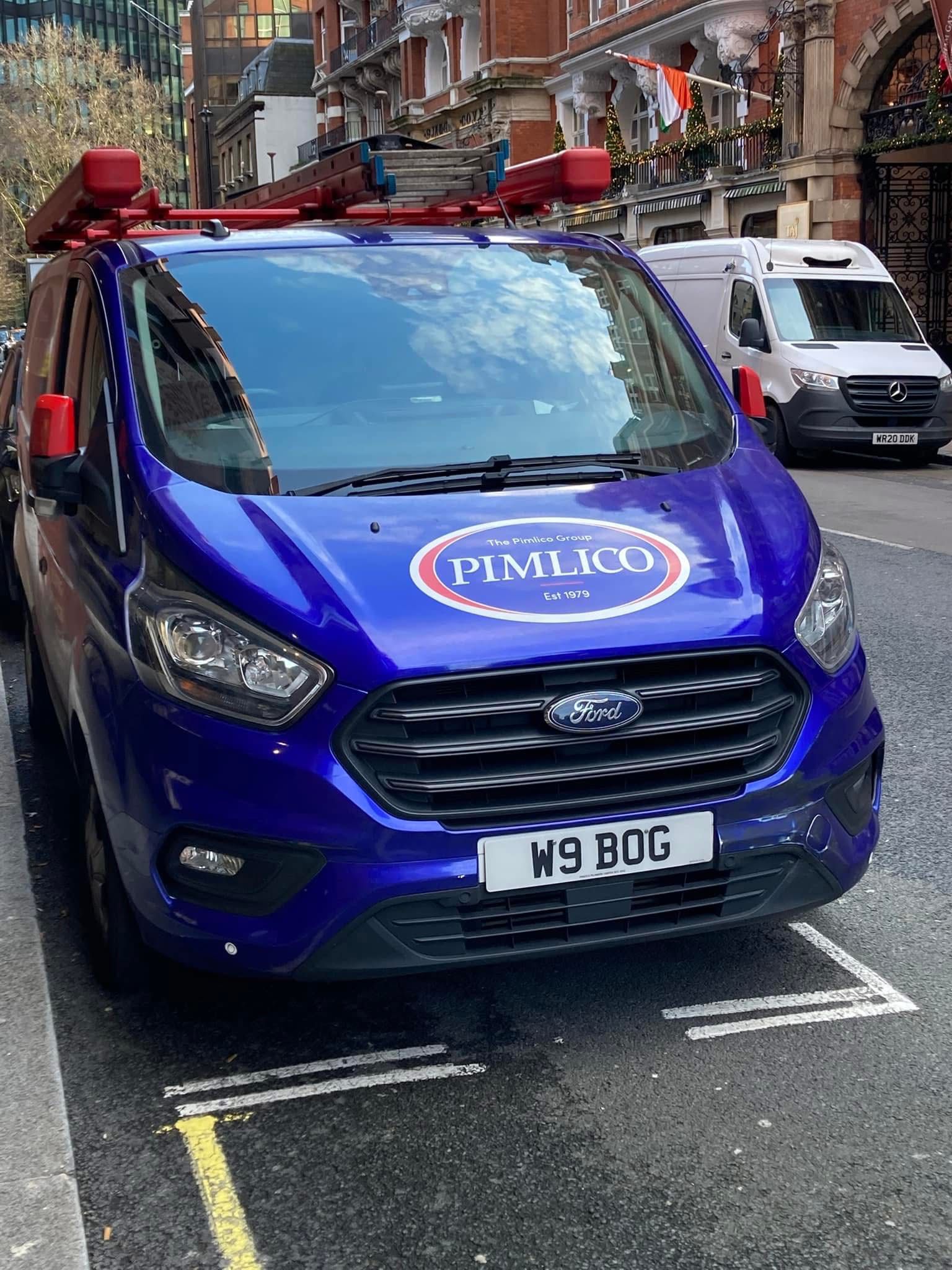 Pimlico Plumbers Number Plate W9 BOG